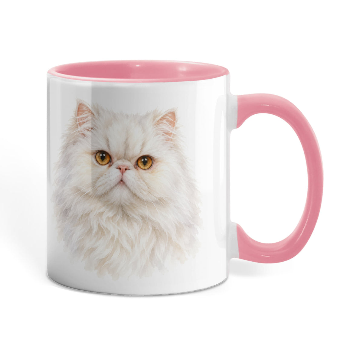 To My Loving Kitties