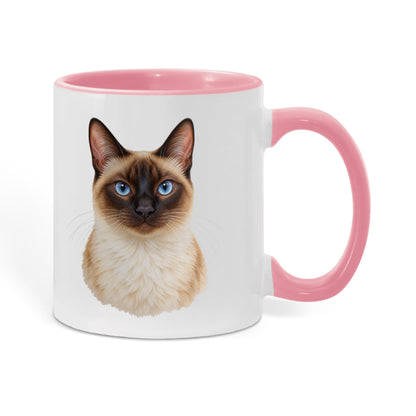 To My Loving Kitties