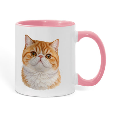 For The Love Of My Kitties