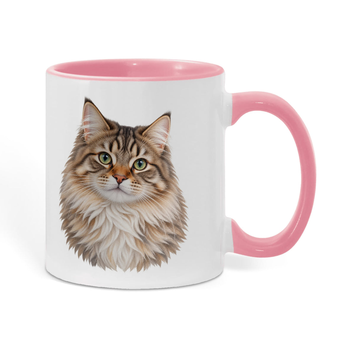 To My Loving Kitties