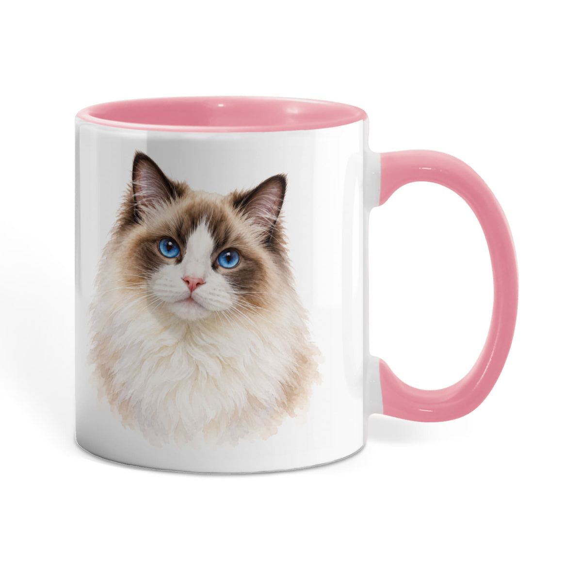 To My Loving Kitties