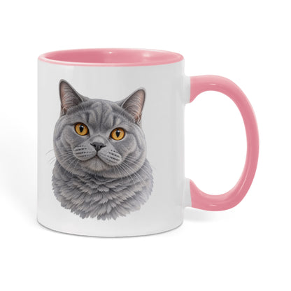 To My Loving Kitties