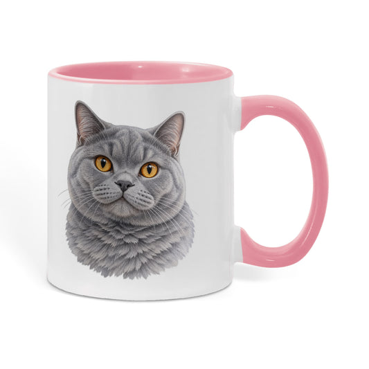 To My Loving Kitties