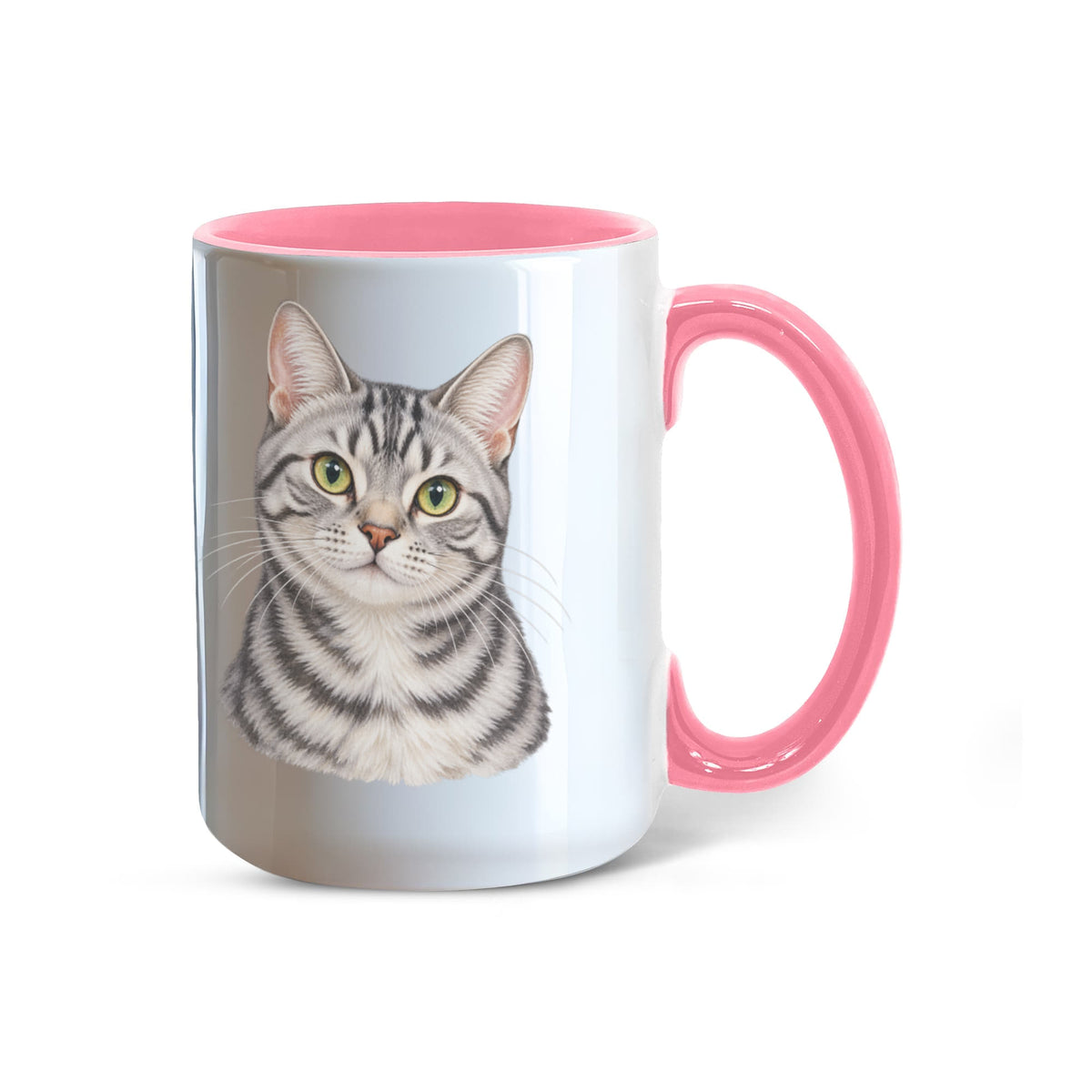 To My Loving Kitties