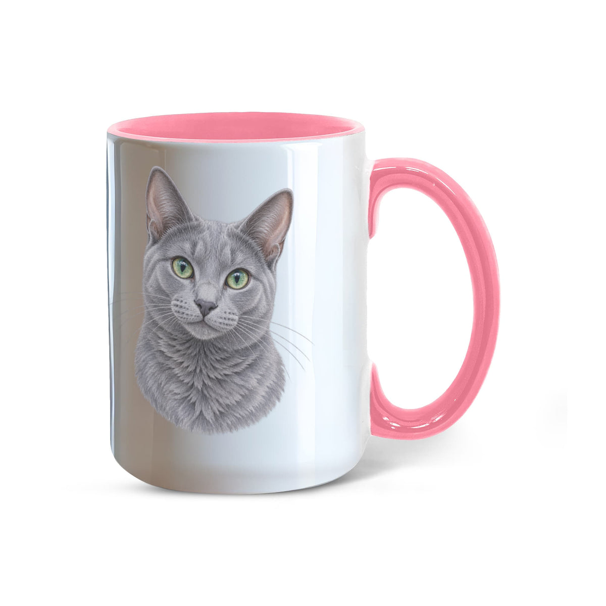 To My Loving Kitties
