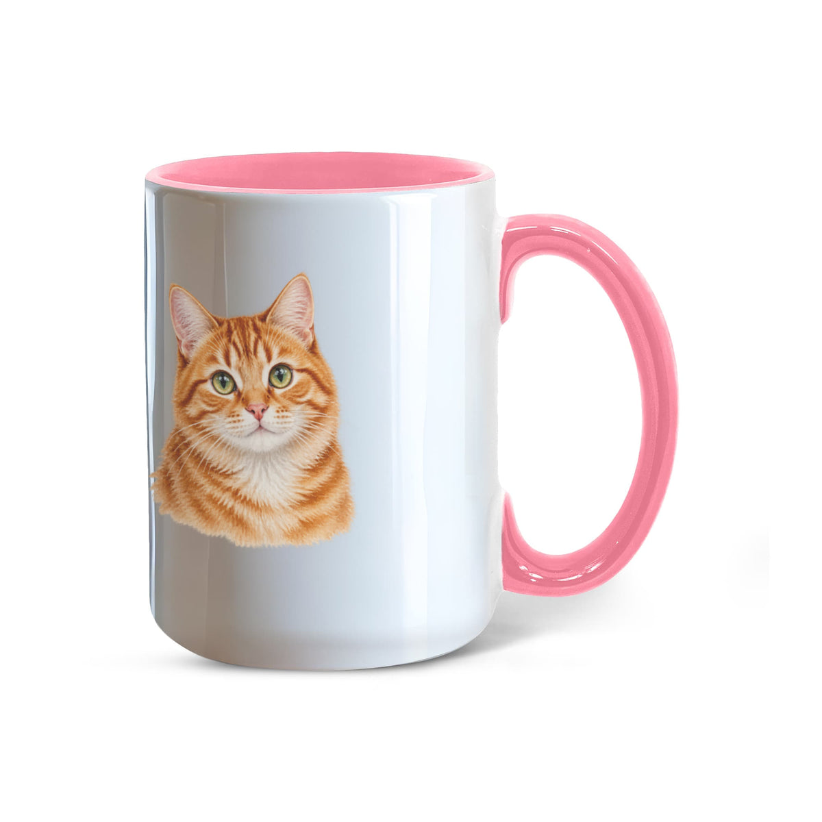 To My Loving Kitties