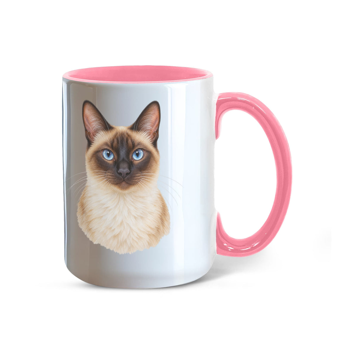 To My Loving Kitties