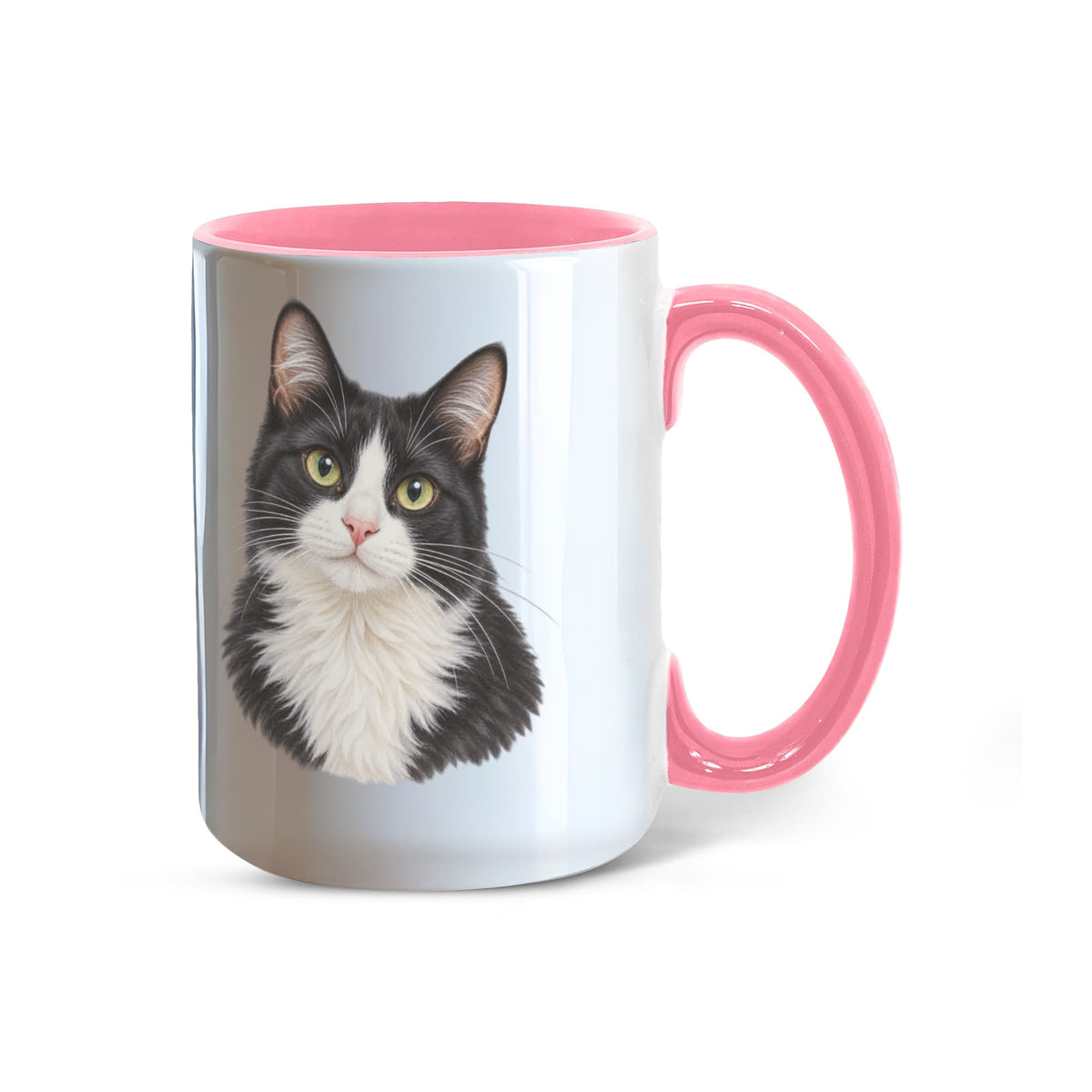 To My Loving Kitties