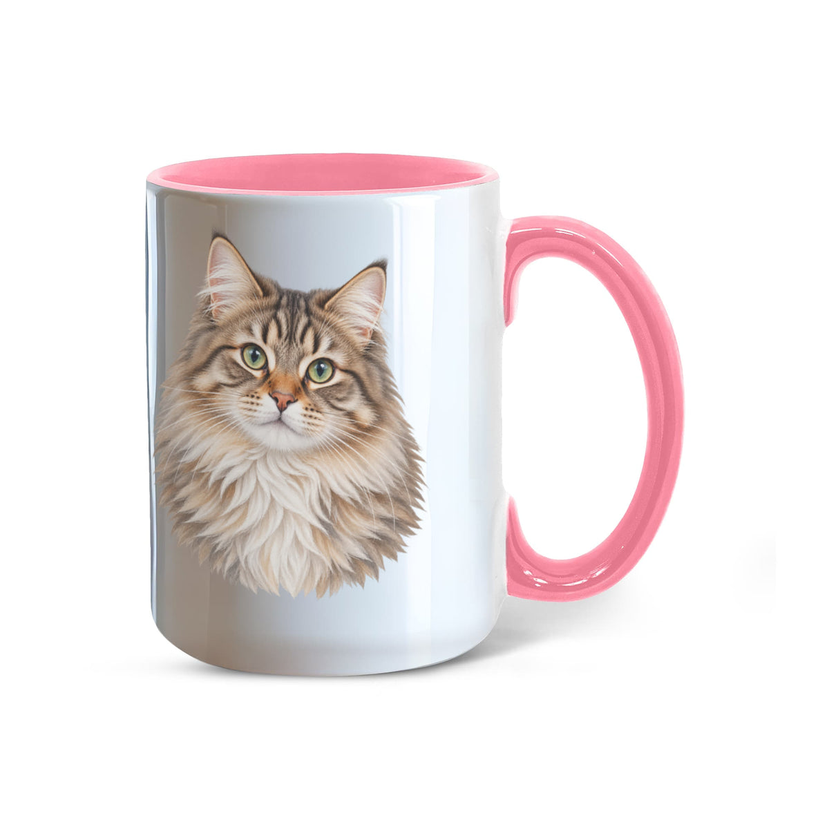 To My Loving Kitties