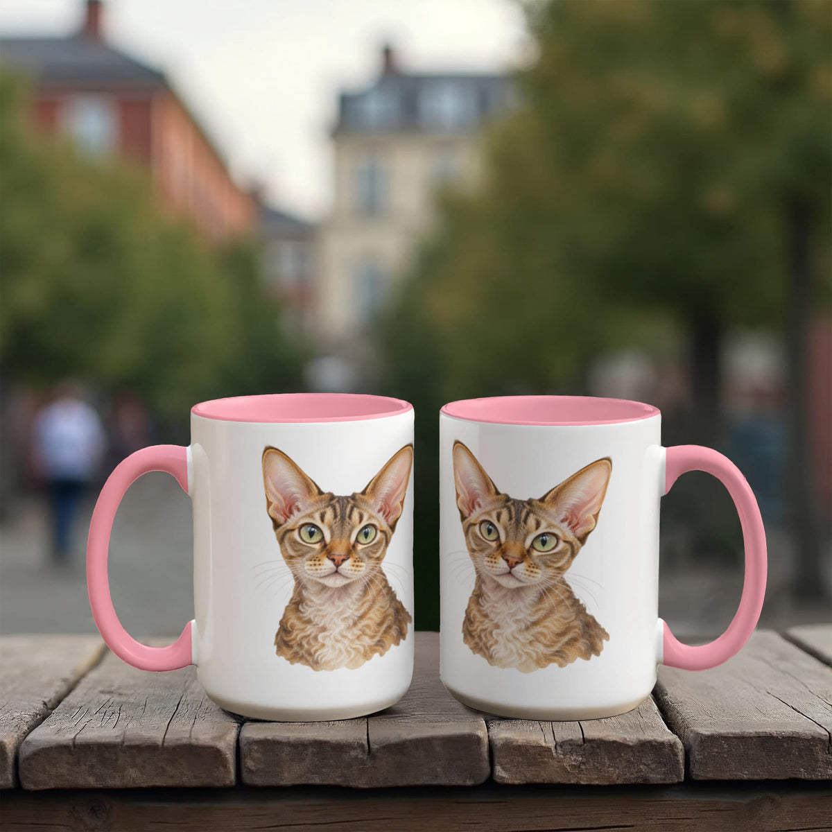 To My Loving Kitties