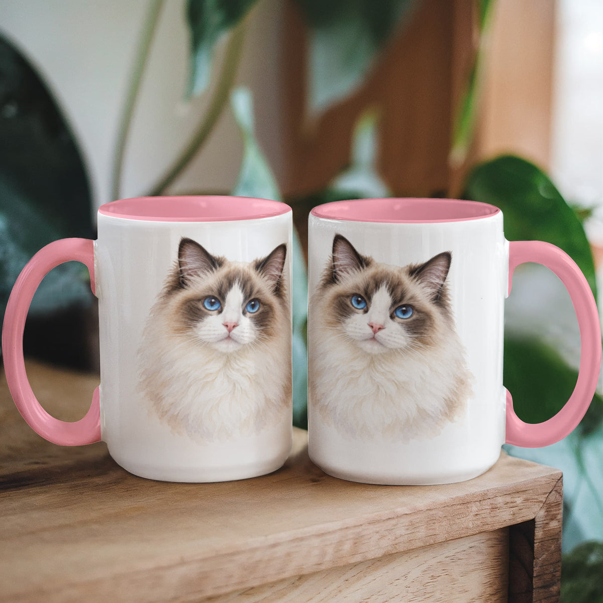 To My Loving Kitties