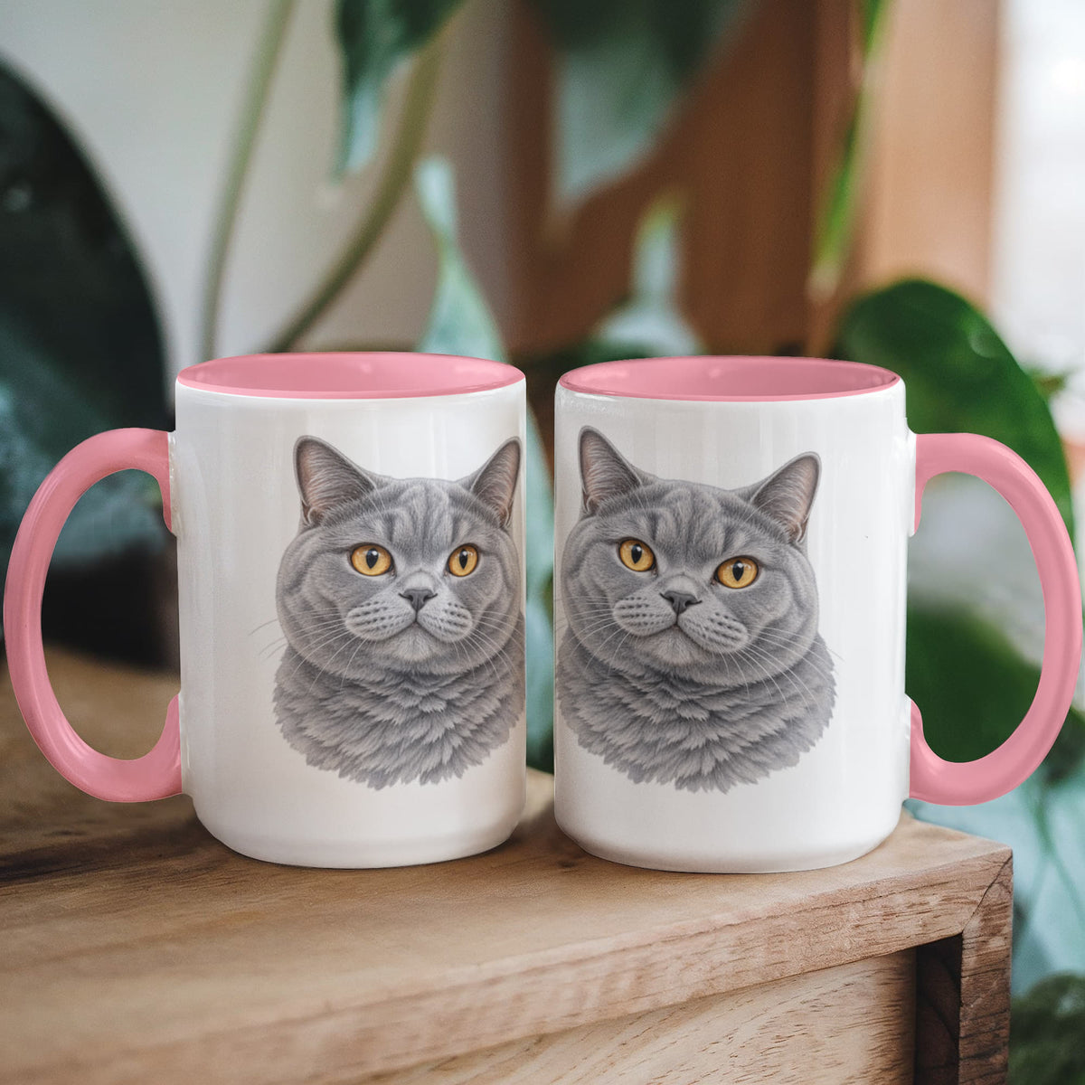 To My Loving Kitties
