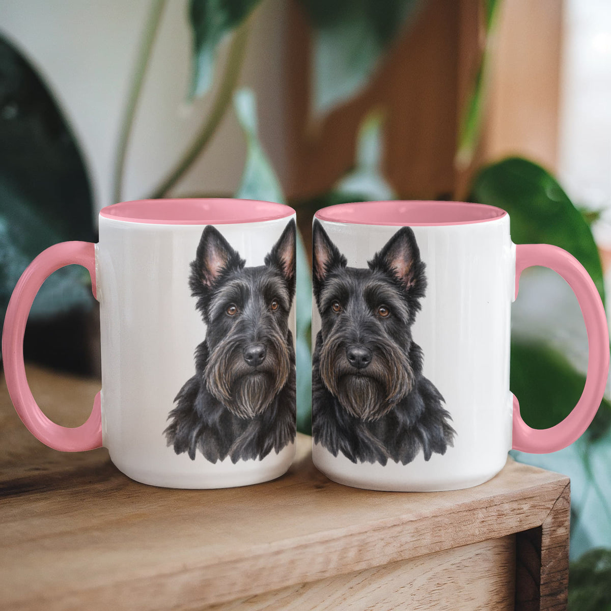 paws and love