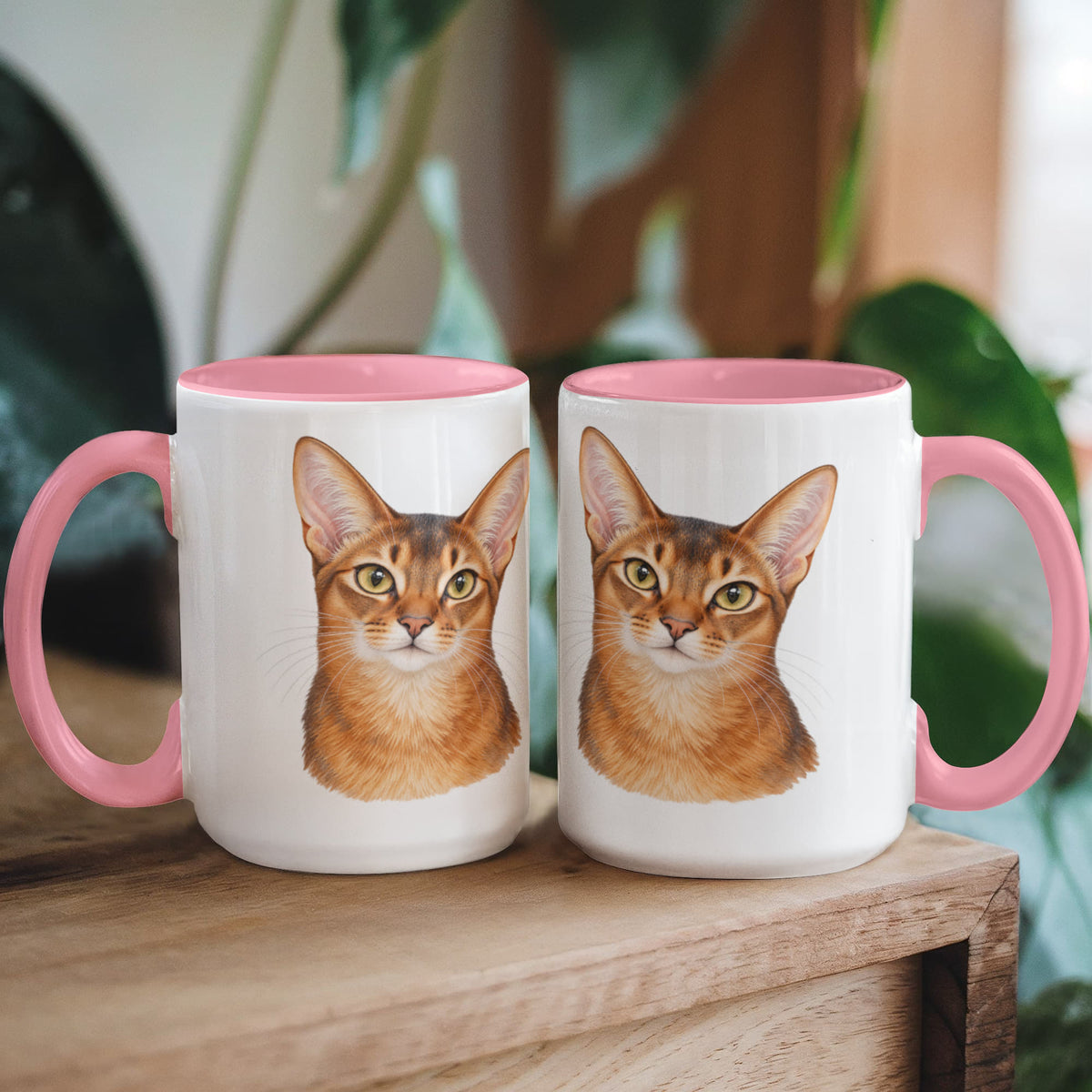 To My Loving Kitties