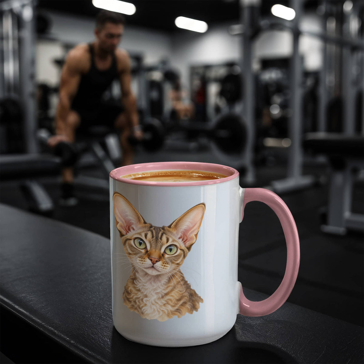To My Loving Kitties