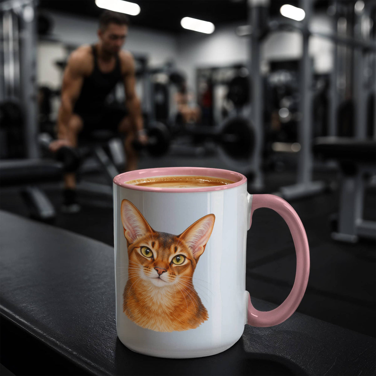 To My Loving Kitties