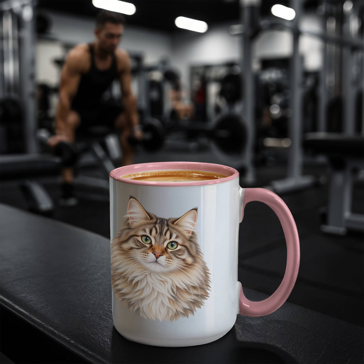 To My Loving Kitties