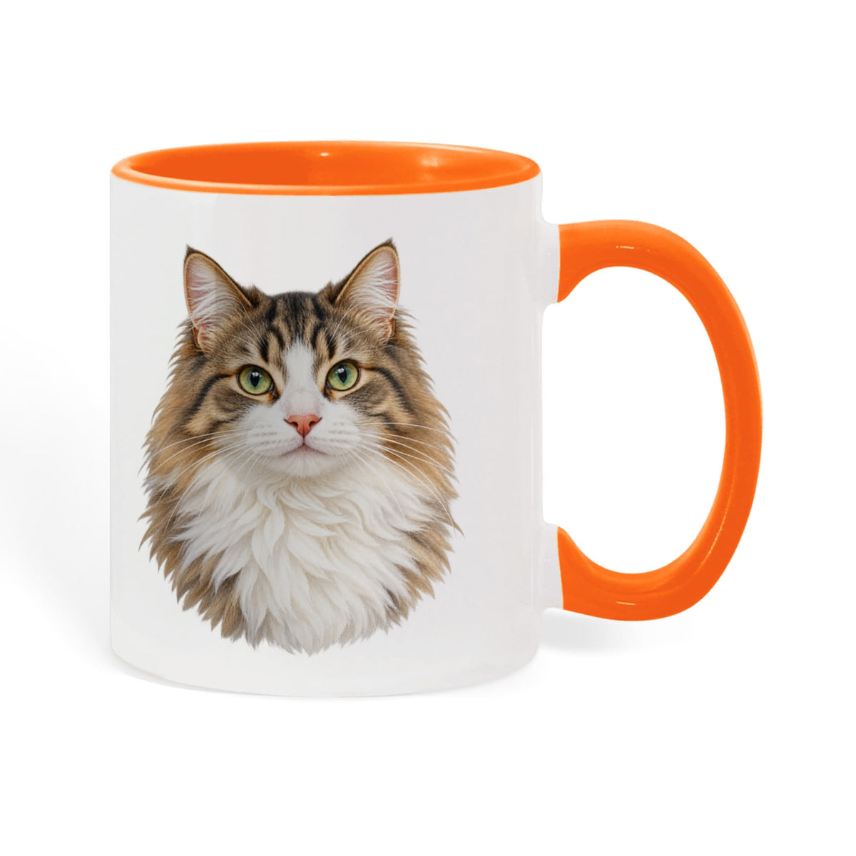 To My Loving Kitties