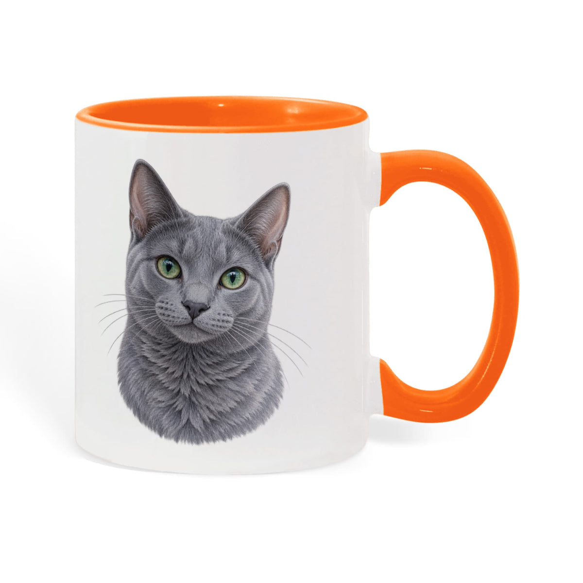 To My Loving Kitties