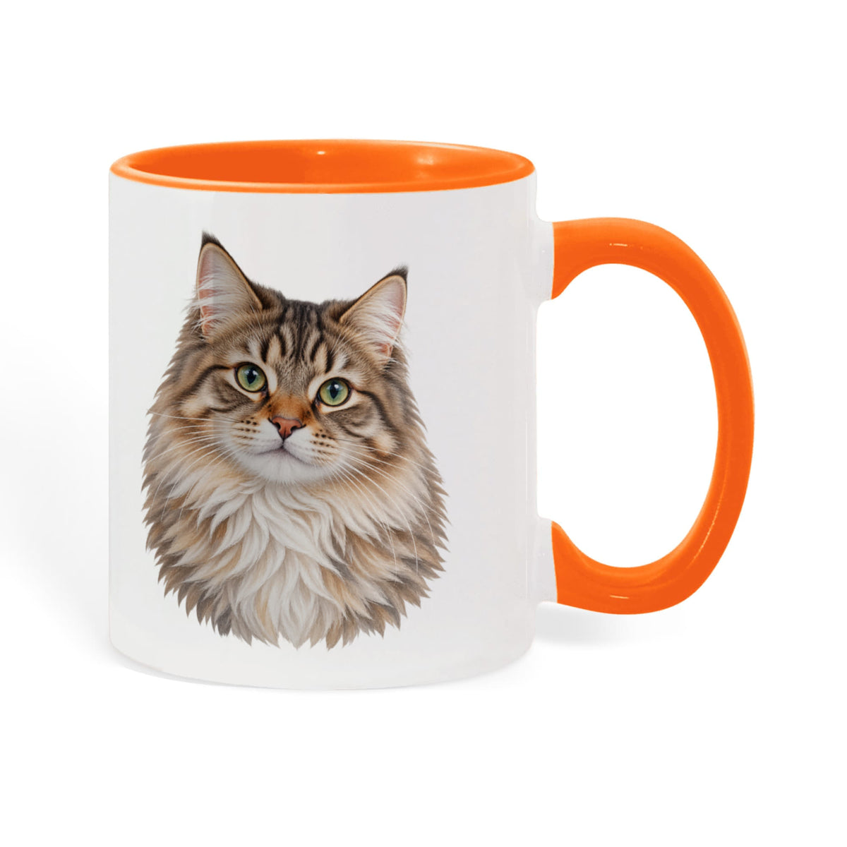 To My Loving Kitties