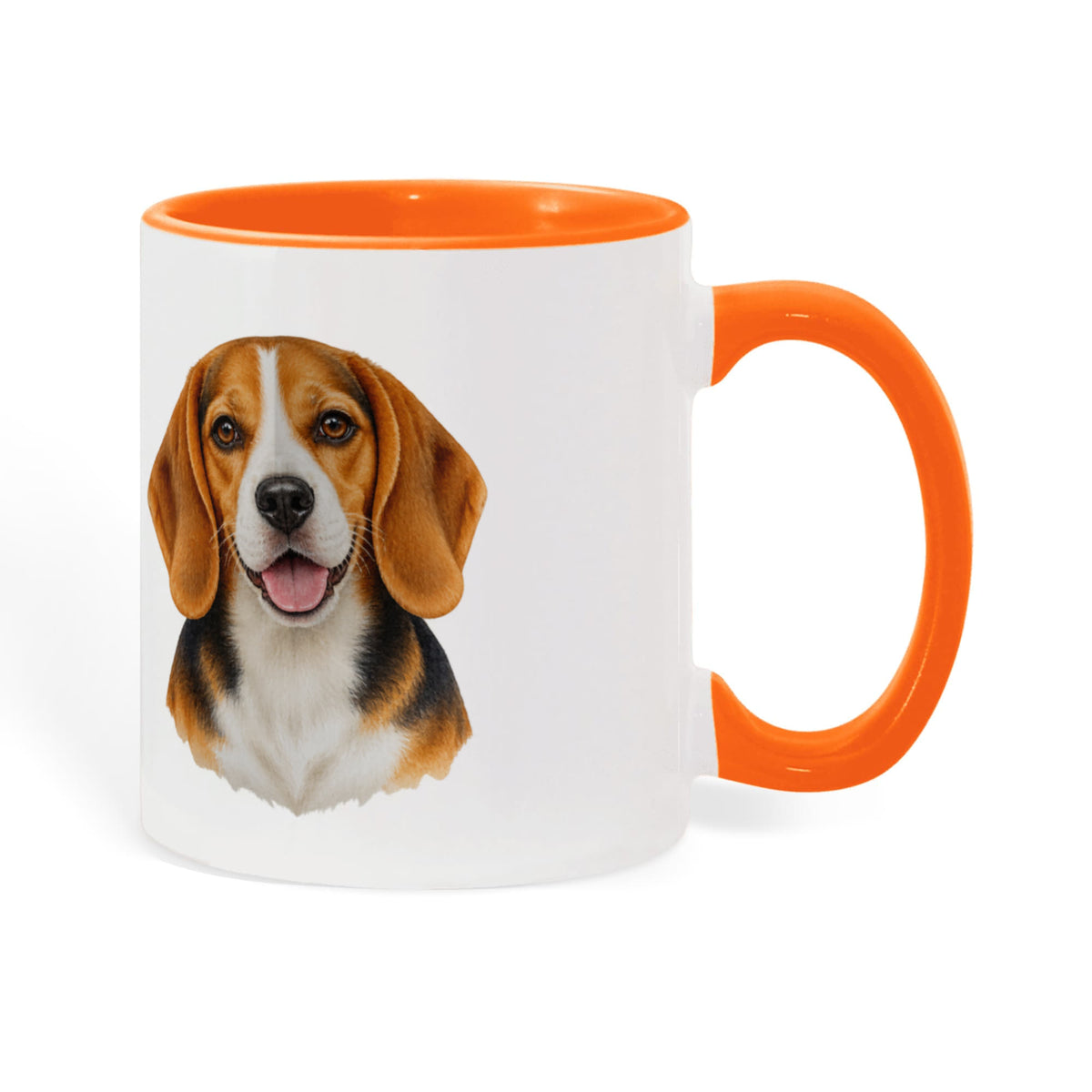 Beagle