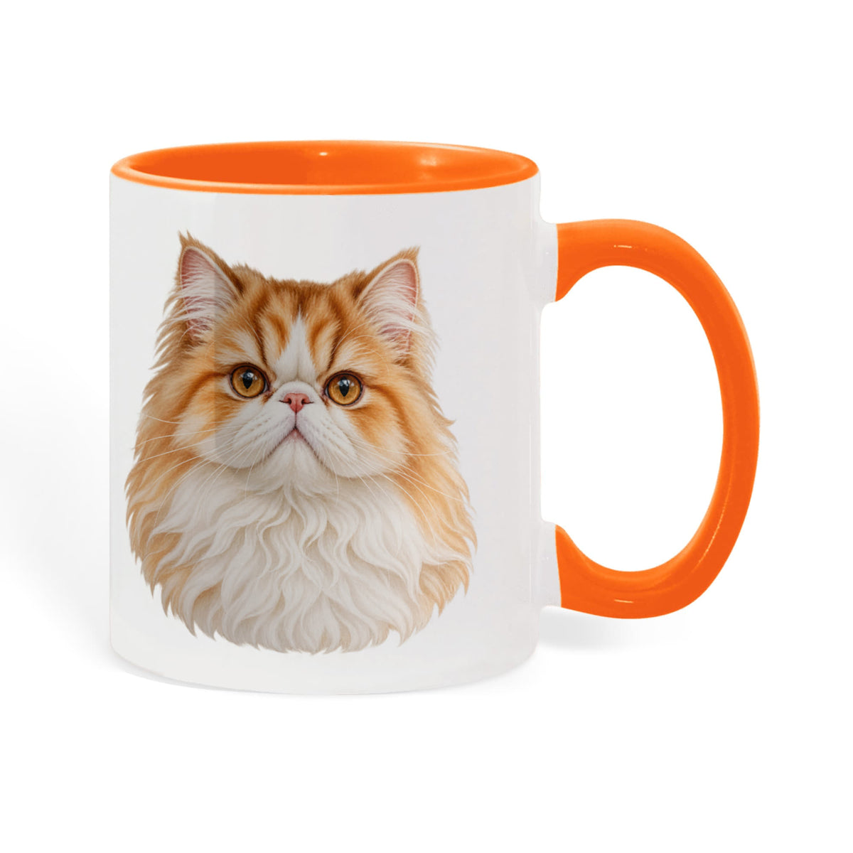 To My Loving Kitties