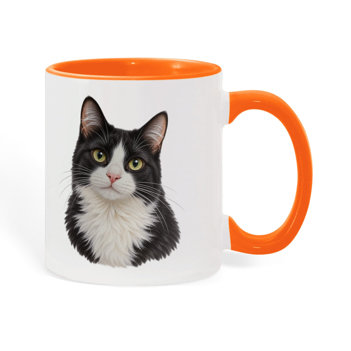 To My Loving Kitties