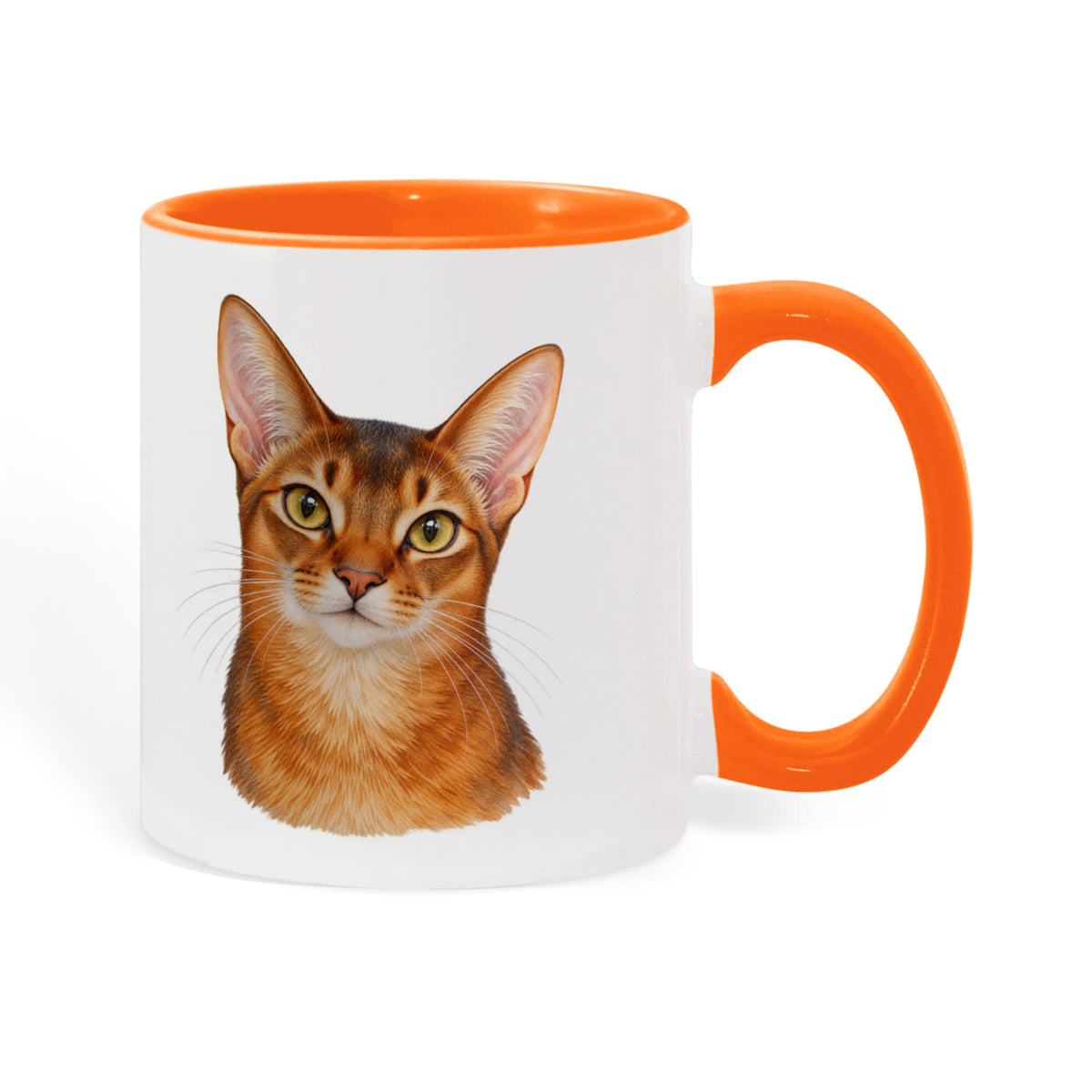 To My Loving Kitties