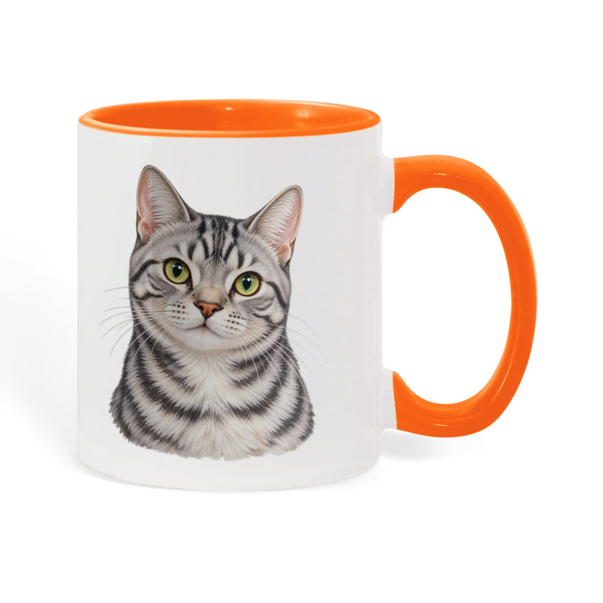 To My Loving Kitties