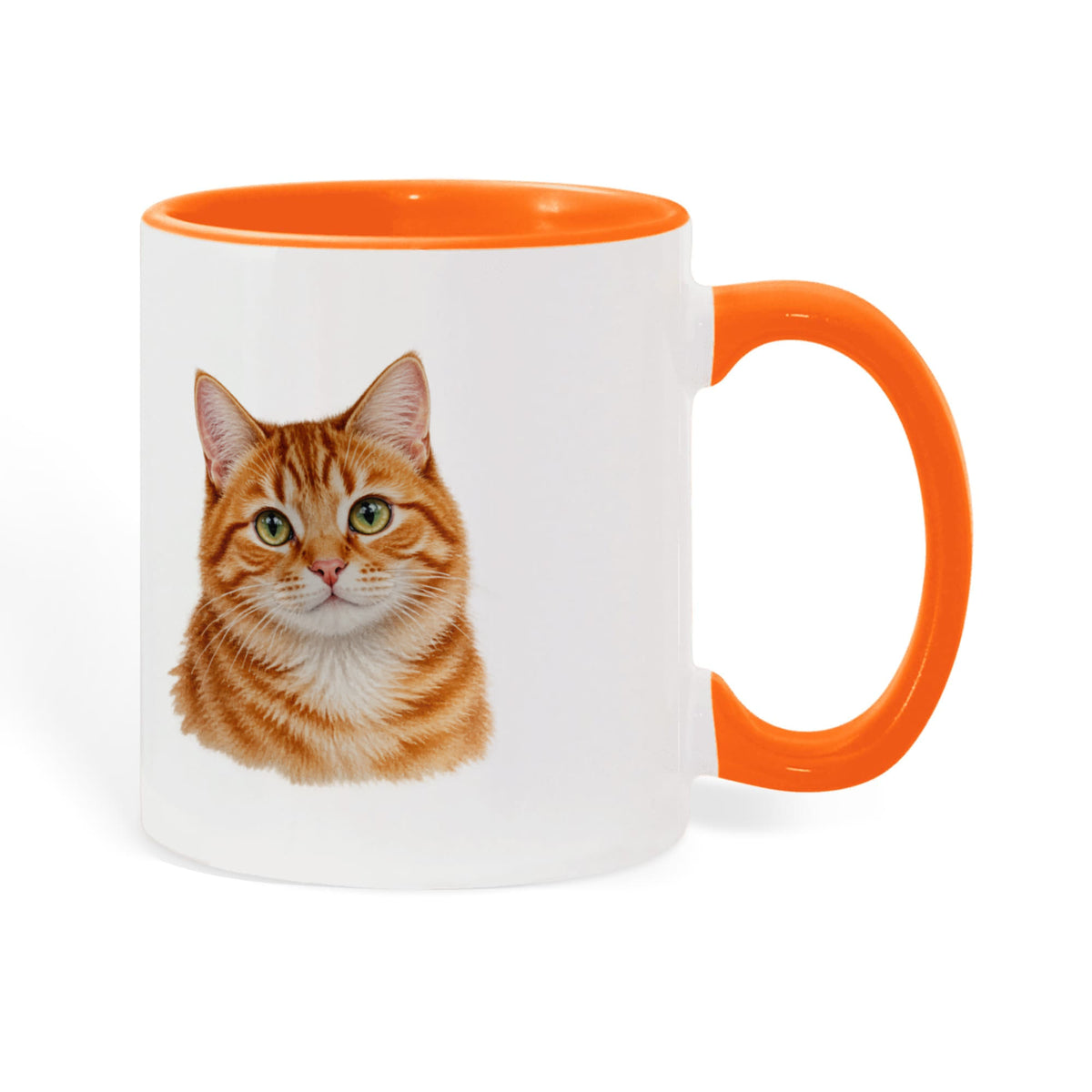 To My Loving Kitties