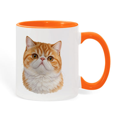For The Love Of My Kitties