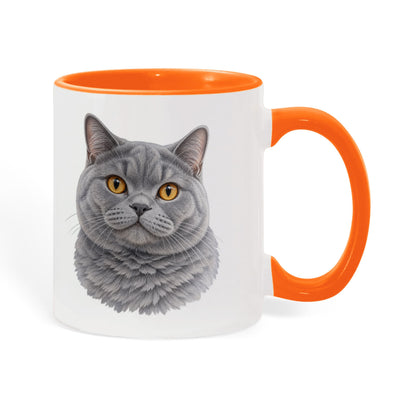To My Loving Kitties