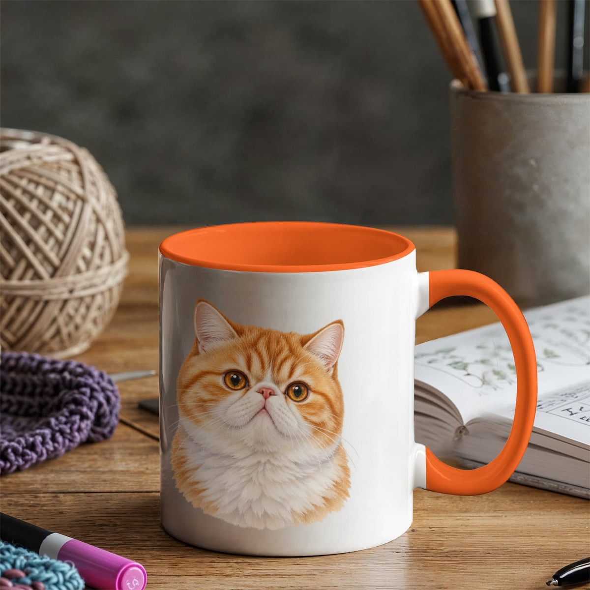 For The Love Of My Kitties