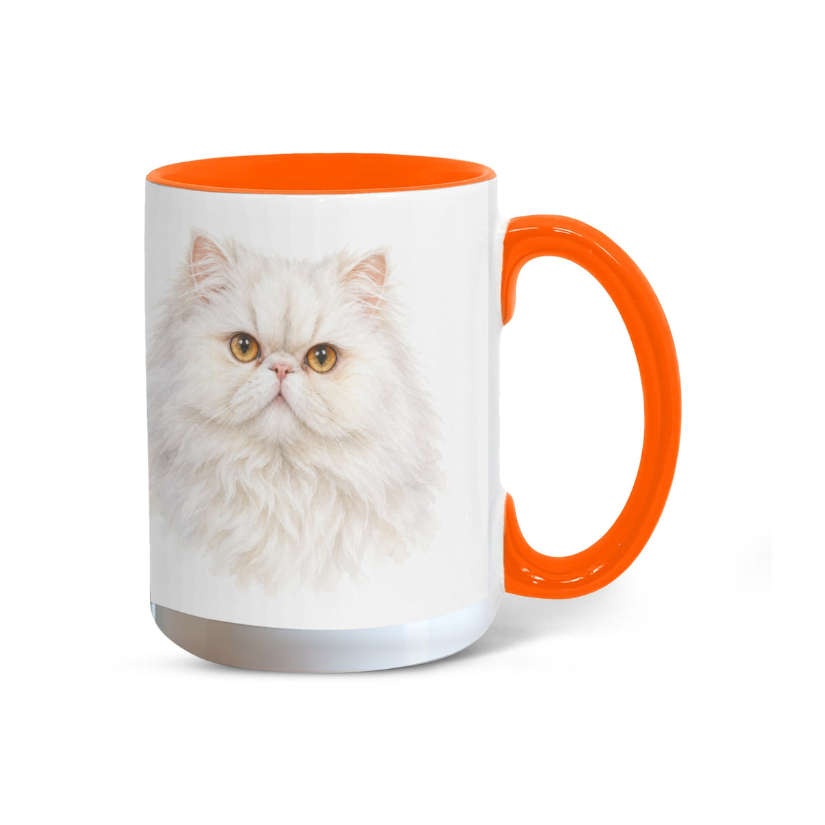 To My Loving Kitties