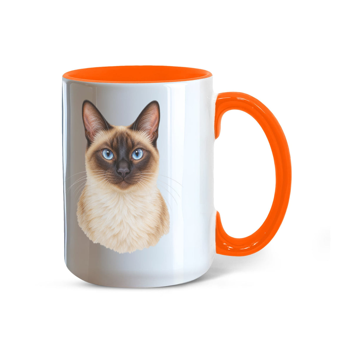 To My Loving Kitties