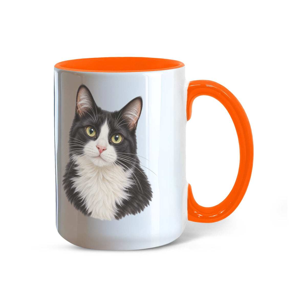 To My Loving Kitties