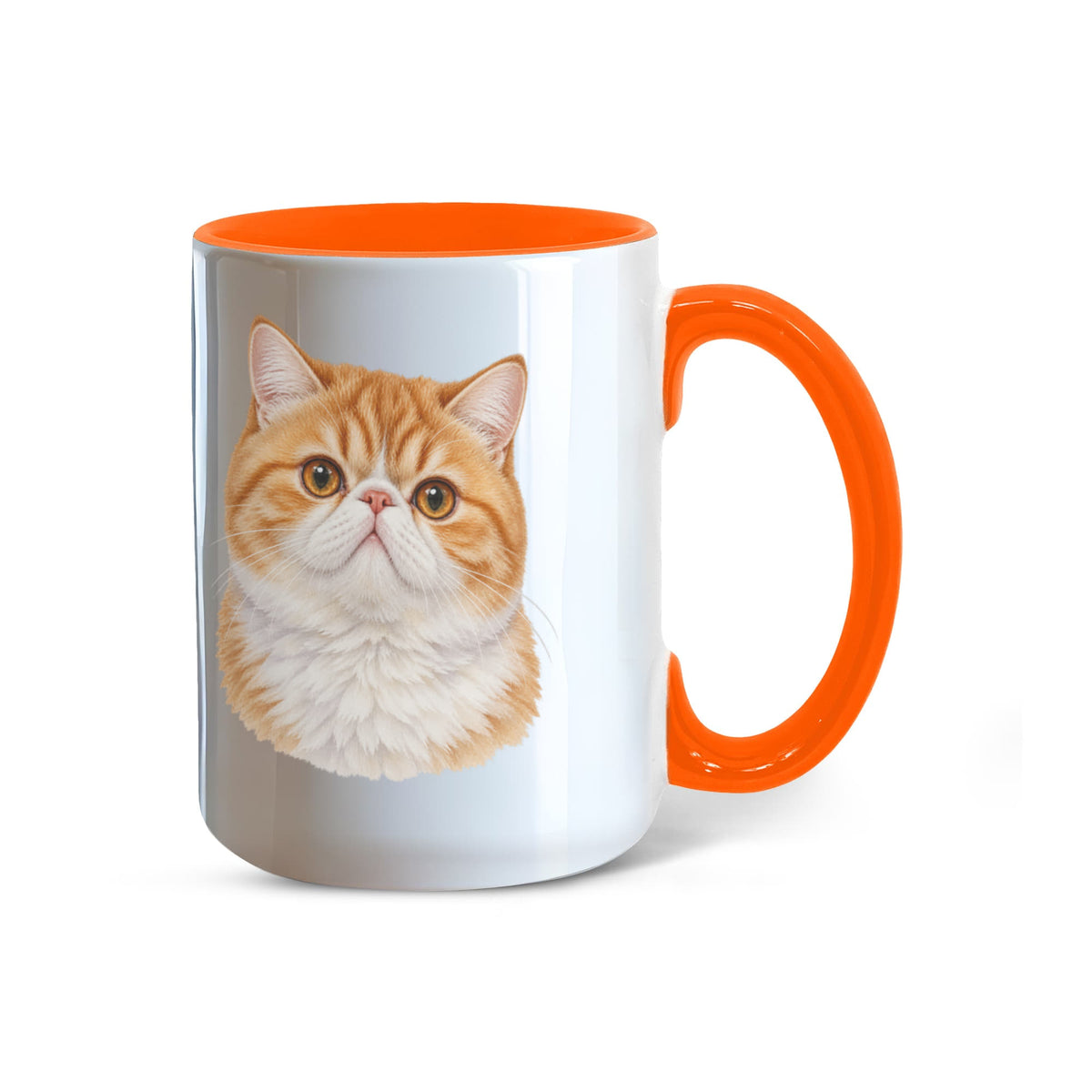For The Love Of My Kitties