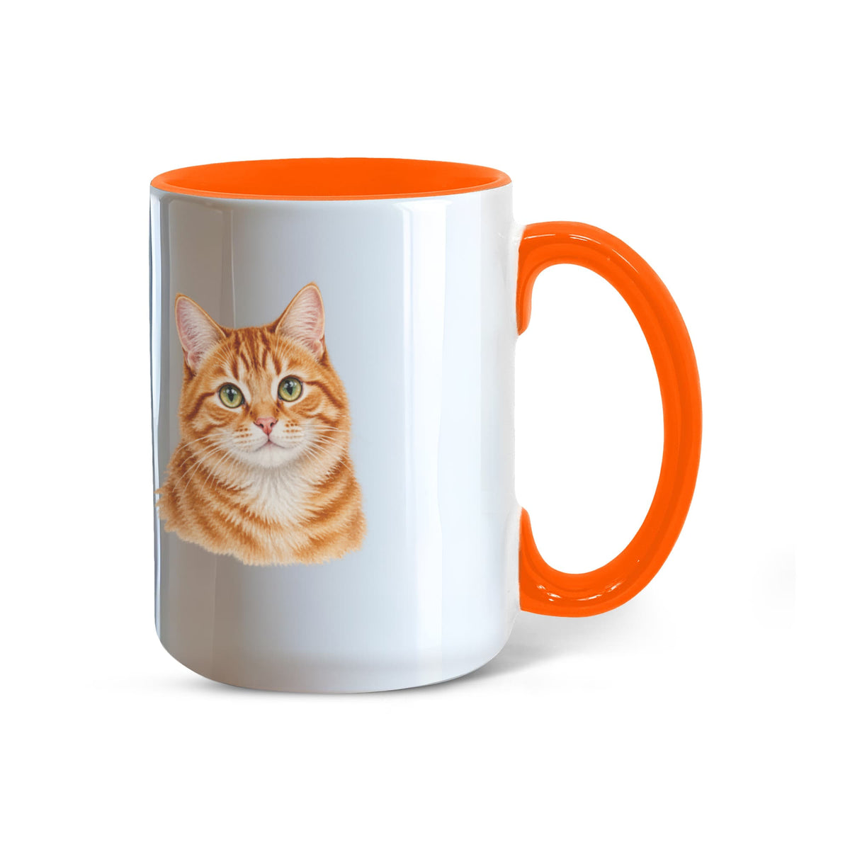 To My Loving Kitties
