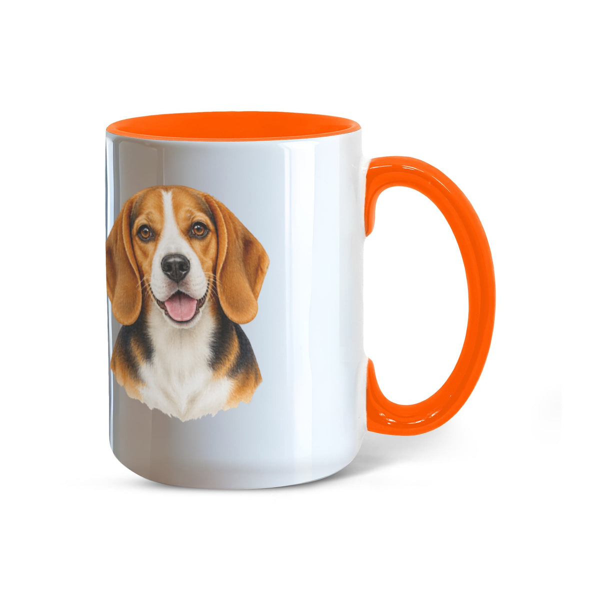 Beagle