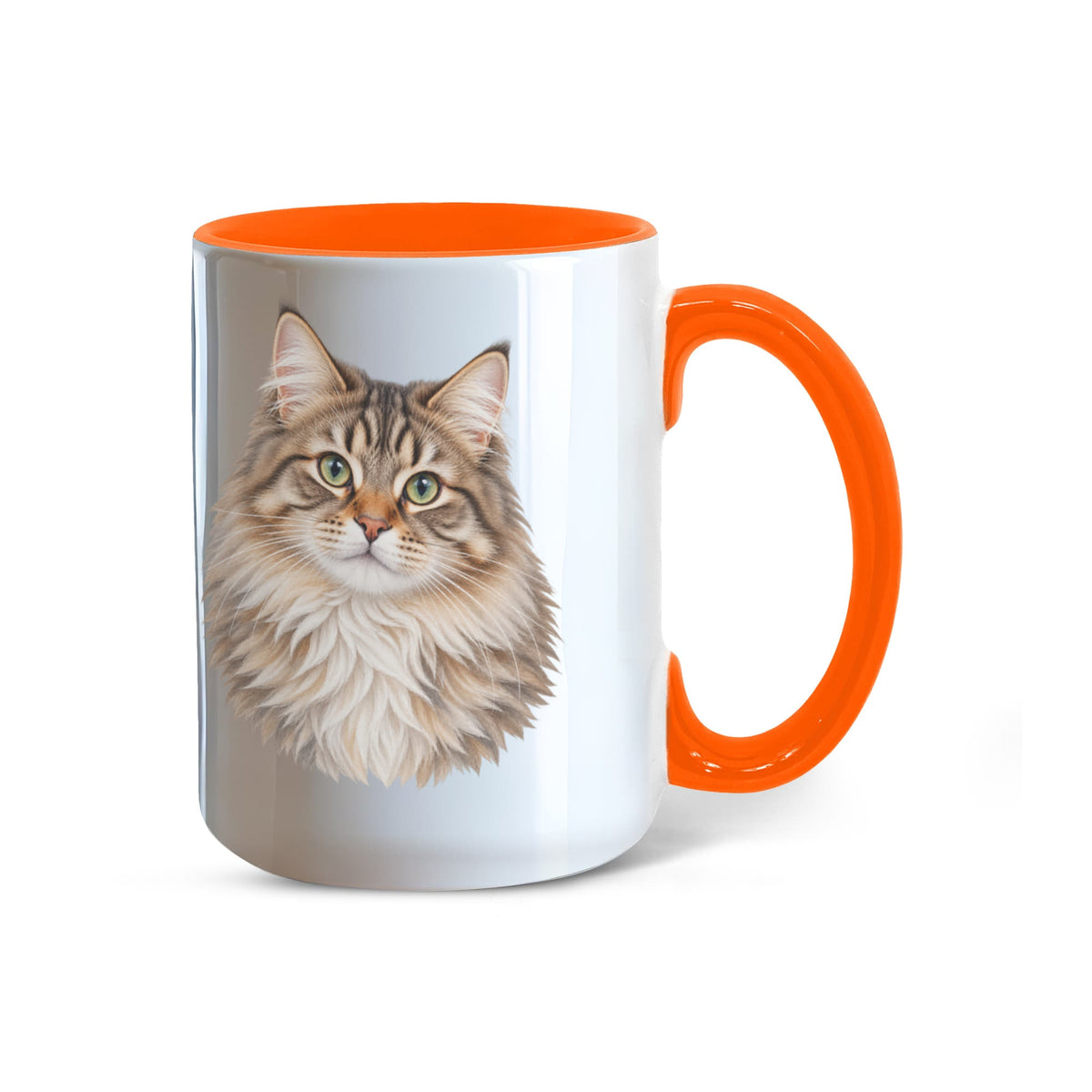 To My Loving Kitties