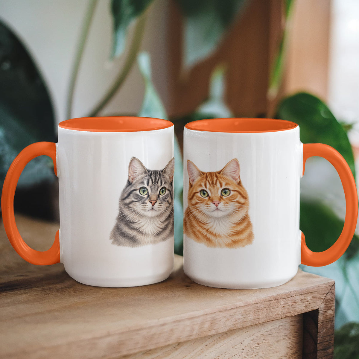 To My Loving Kitties