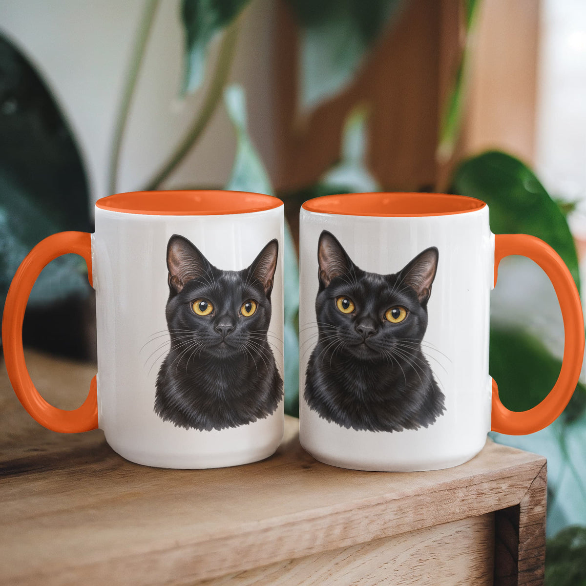 To My Loving Kitties
