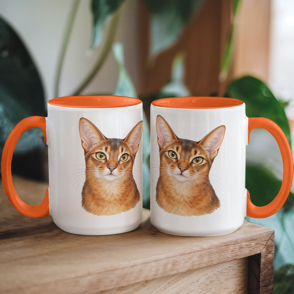To My Loving Kitties