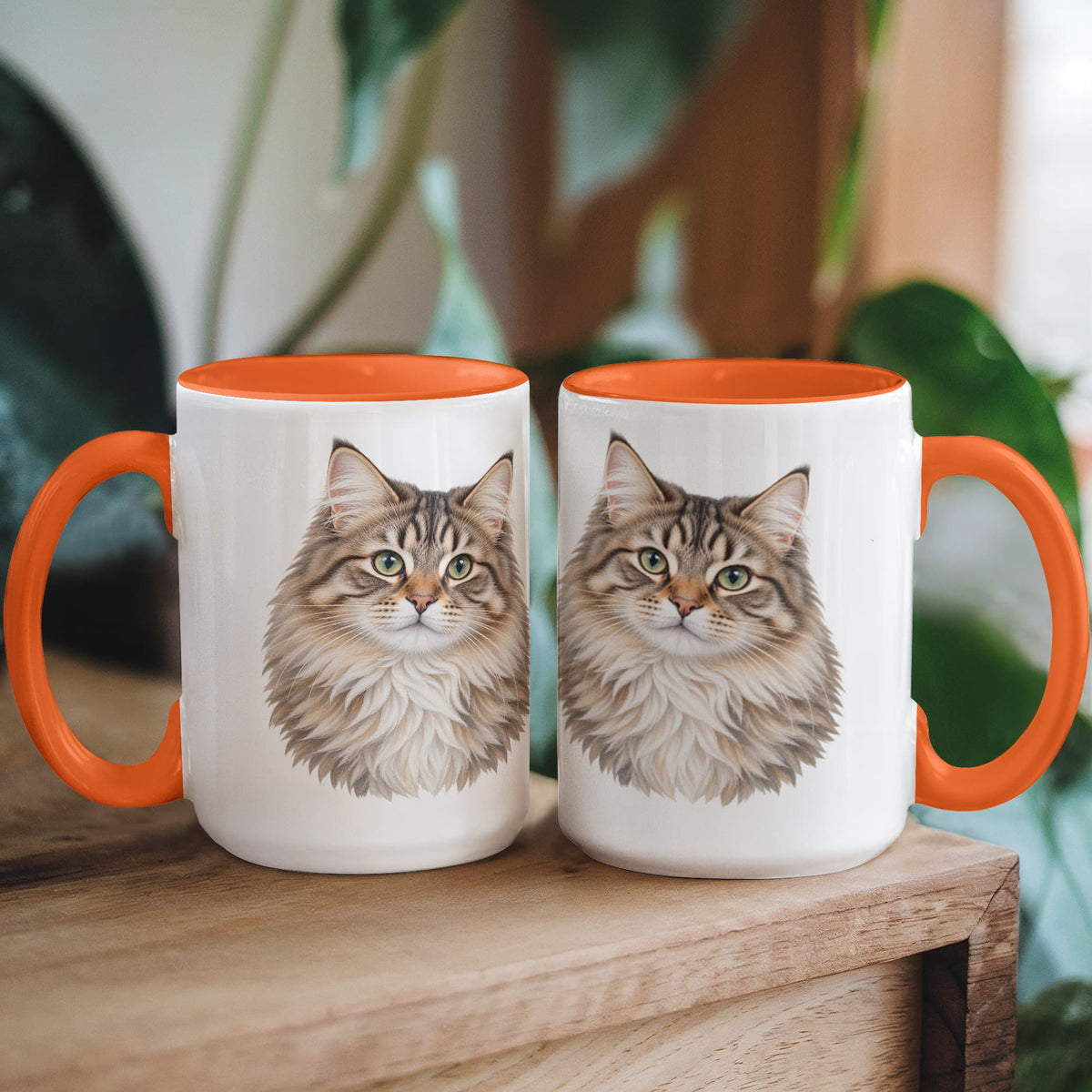 To My Loving Kitties