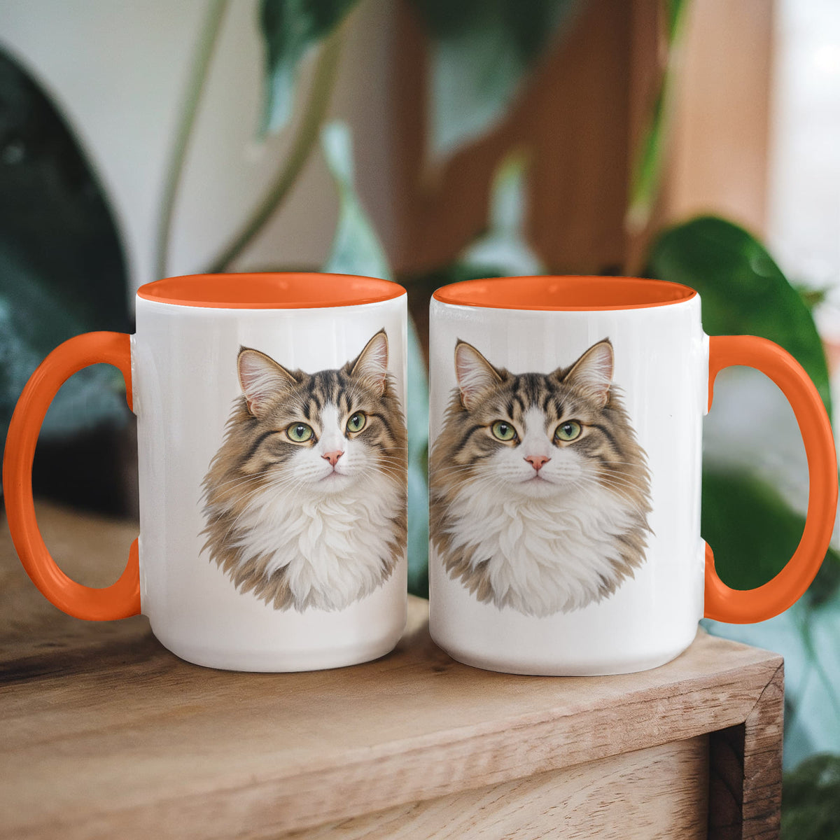 To My Loving Kitties