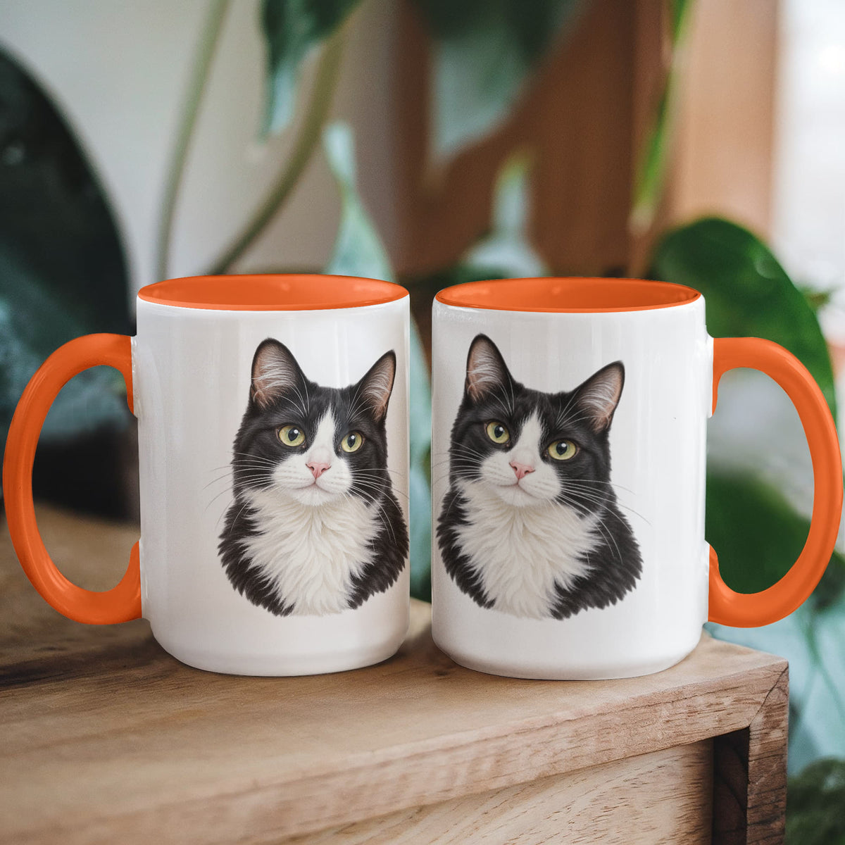 To My Loving Kitties