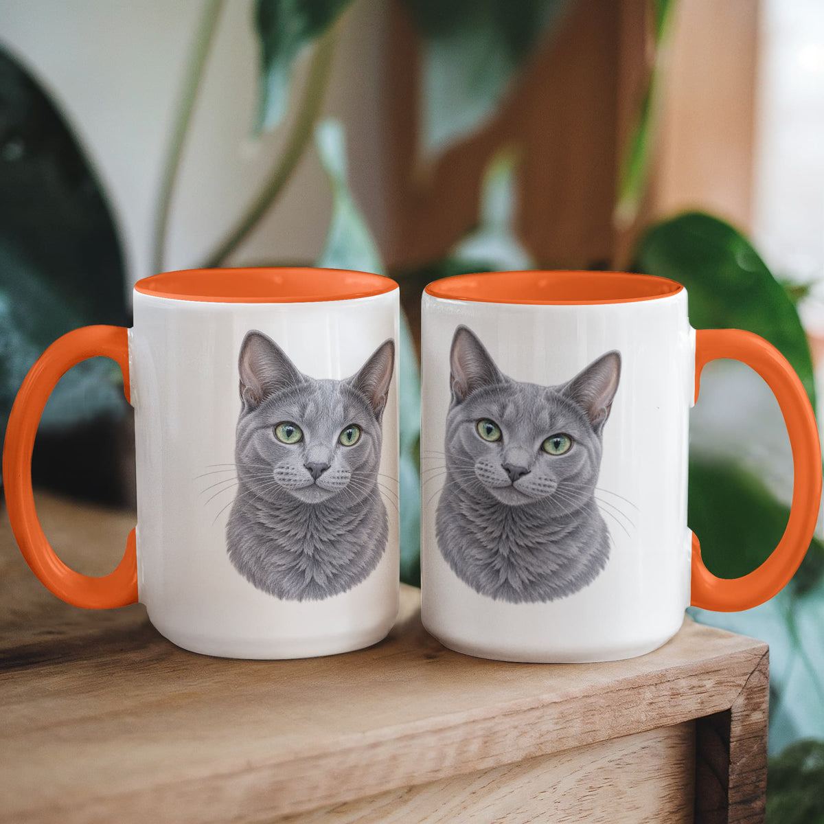 To My Loving Kitties