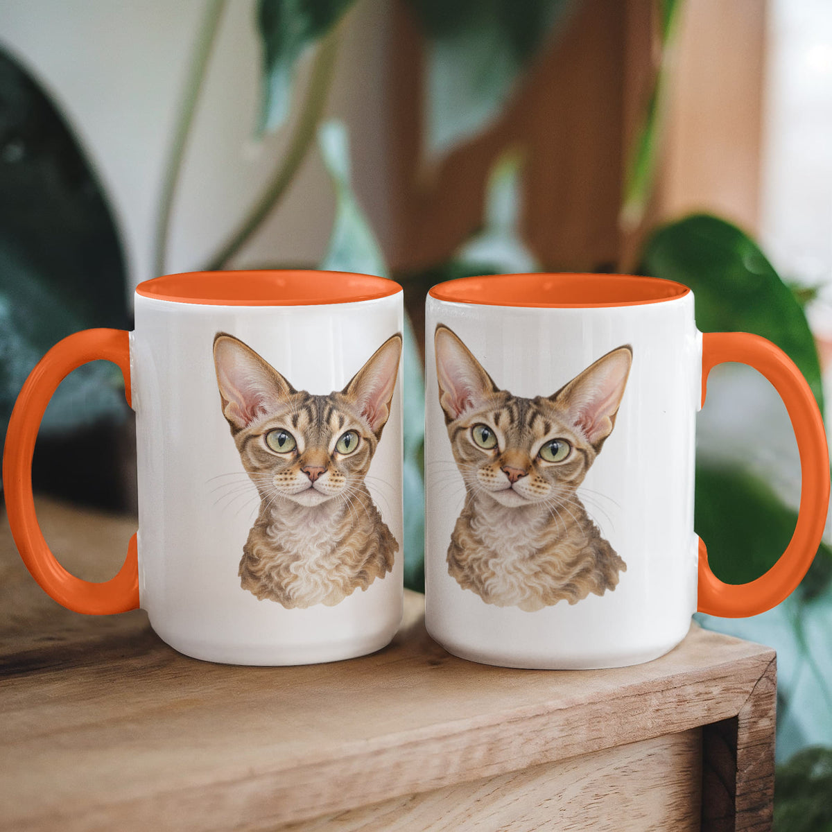 To My Loving Kitties