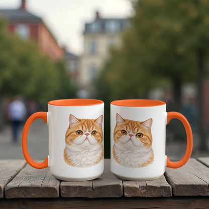 For The Love Of My Kitties