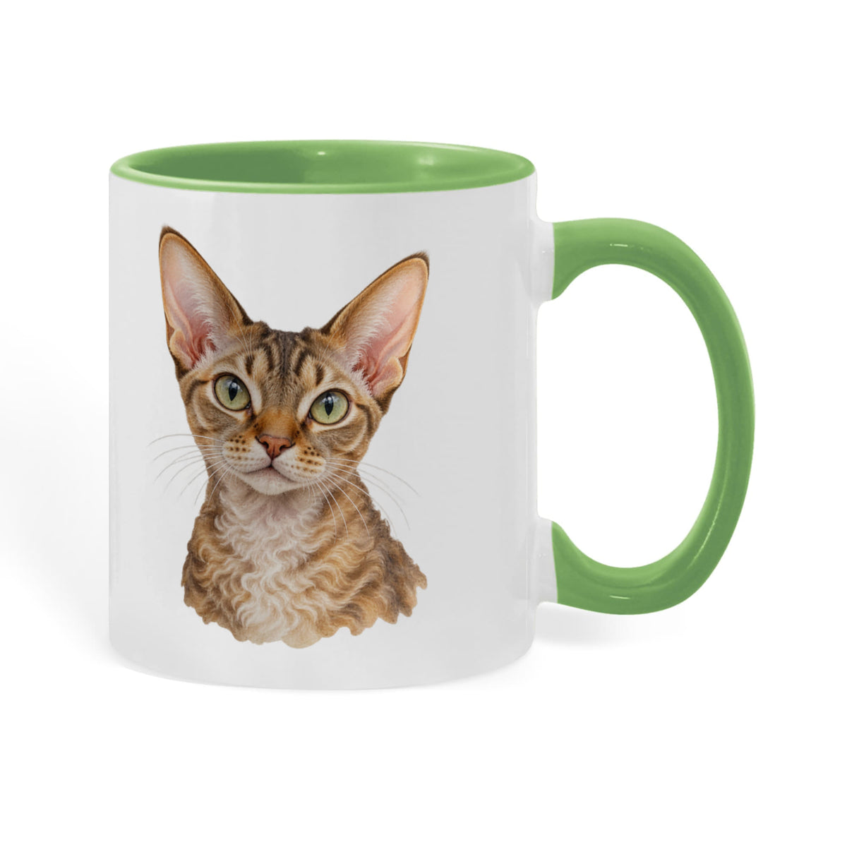 To My Loving Kitties